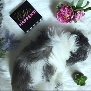 Meet your Posher, Rebecca